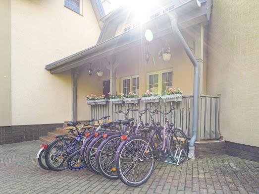Homestay Grodzisko Do Wynajecia